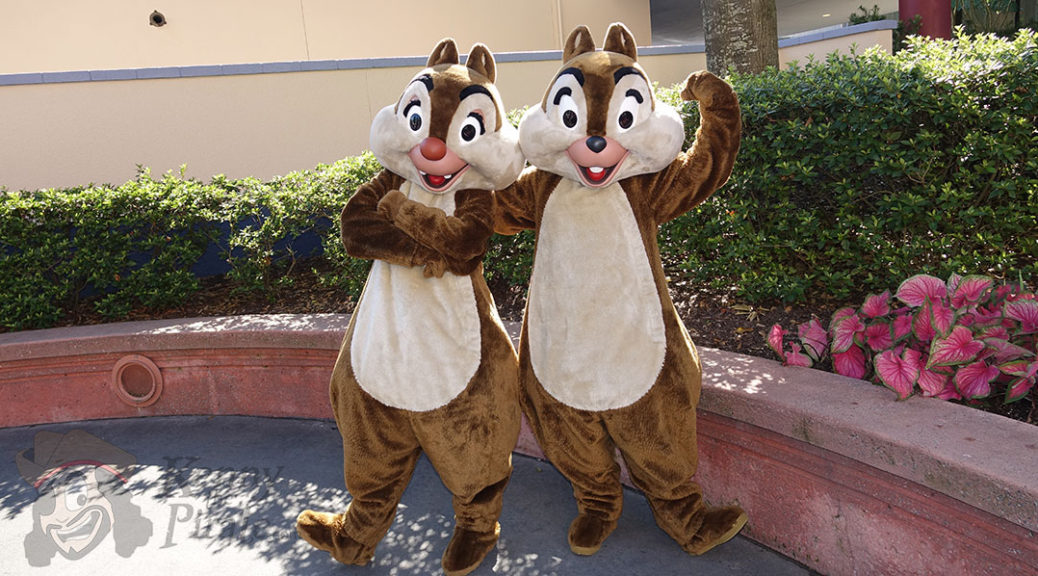 Hollywood studios character meet and greet update with an awesome rare