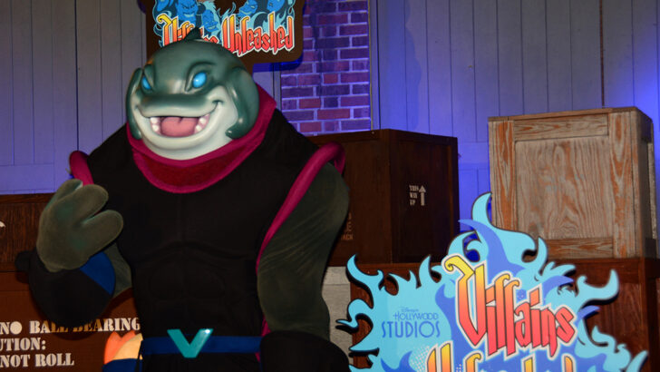 Photos of many rare Walt Disney World characters from 2014 Villains Unleashed