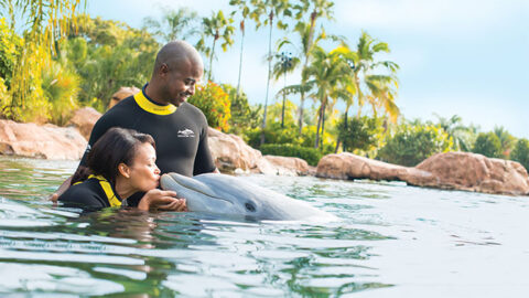 Win a trip for 16 people to Discovery Cove and swim with dolphins!