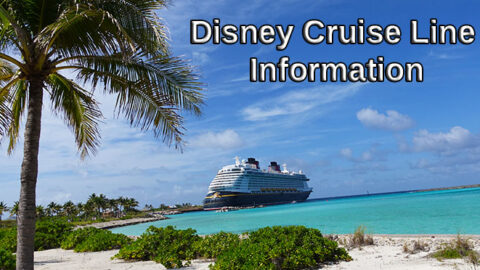 Disney Cruise Line Improving My Online Check-In Process and at the Terminal