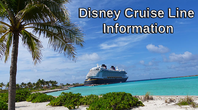 Disney Cruise Line Improving My Online Check-In Process and at the Terminal