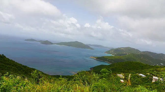 Disney Fantasy Forest and Beach Port Adventure in Tortola (1)