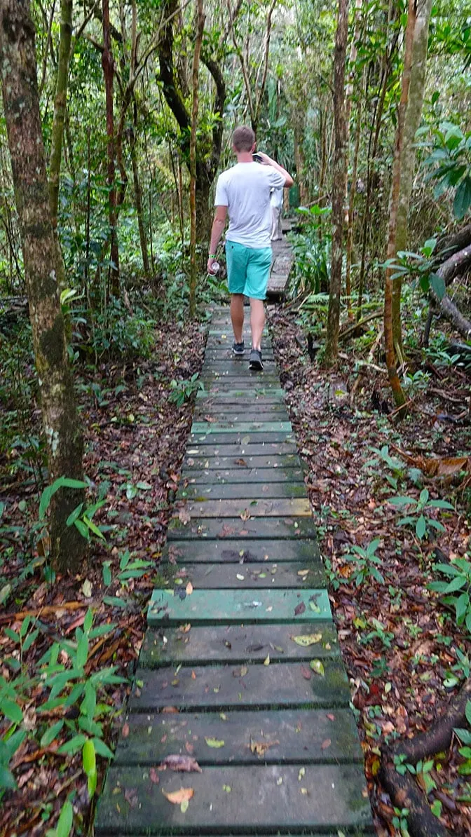 Disney Fantasy Forest and Beach Port Adventure in Tortola (14)