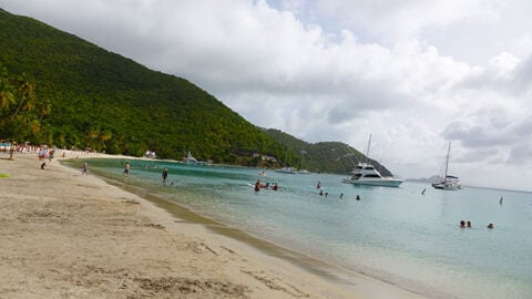 Tortola Forest and Beach Port Adventure from the Disney Fantasy – Review
