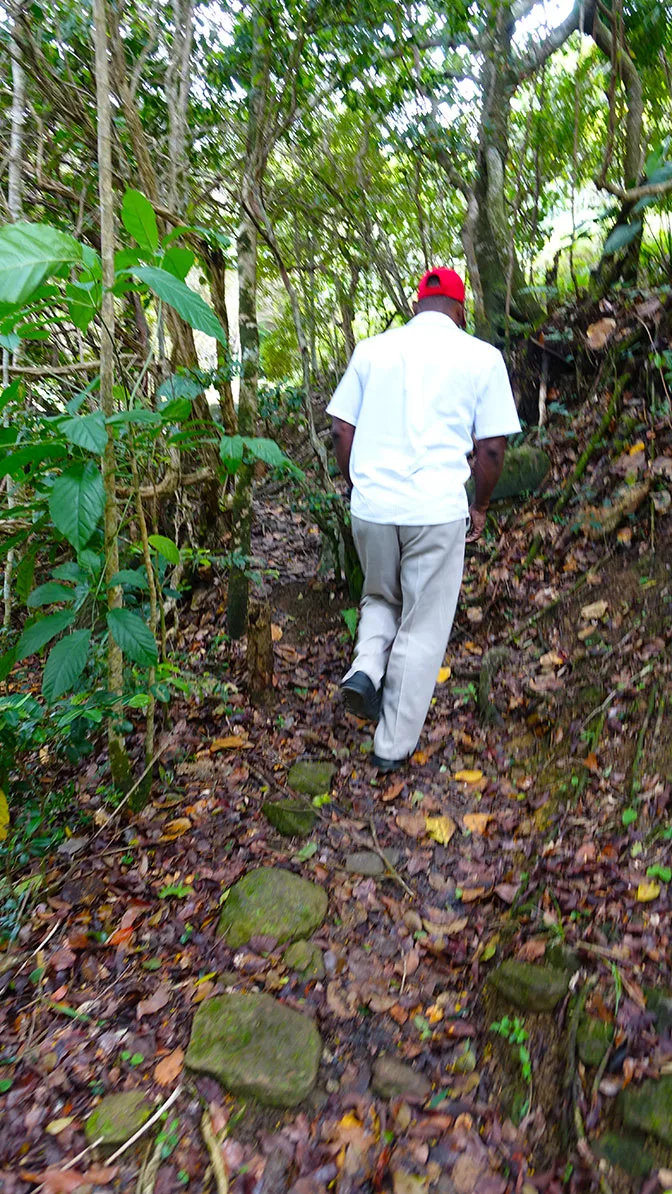 Disney Fantasy Forest and Beach Port Adventure in Tortola (8)