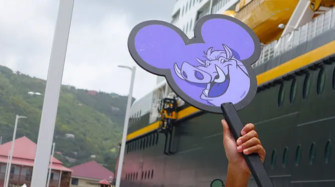 Disney Fantasy Forest and Beach Port Adventure in Tortola