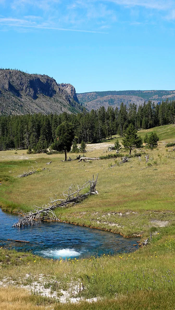 Yellowstone Day 2 Beryl Spring