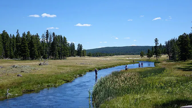 Yellowstone Day 3 Fly Fishermen