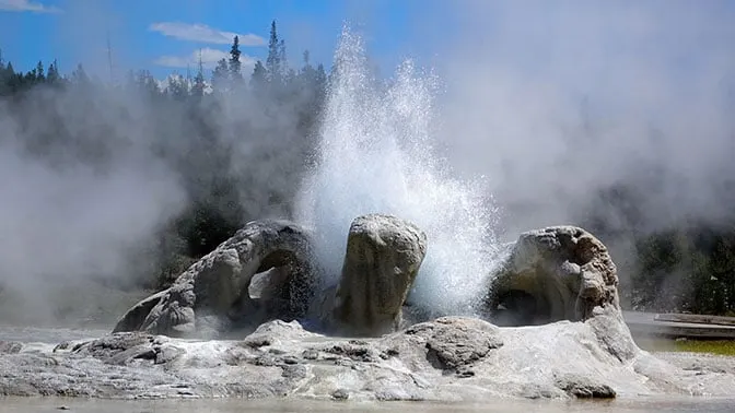 Yellowstone Day 3 Grotto Geyser