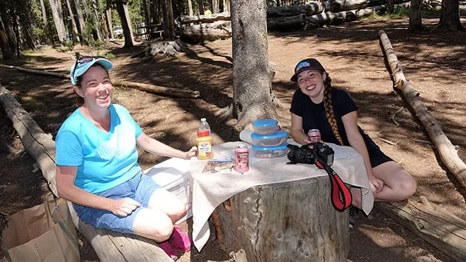 Yellowstone Day 5 the stump picnic