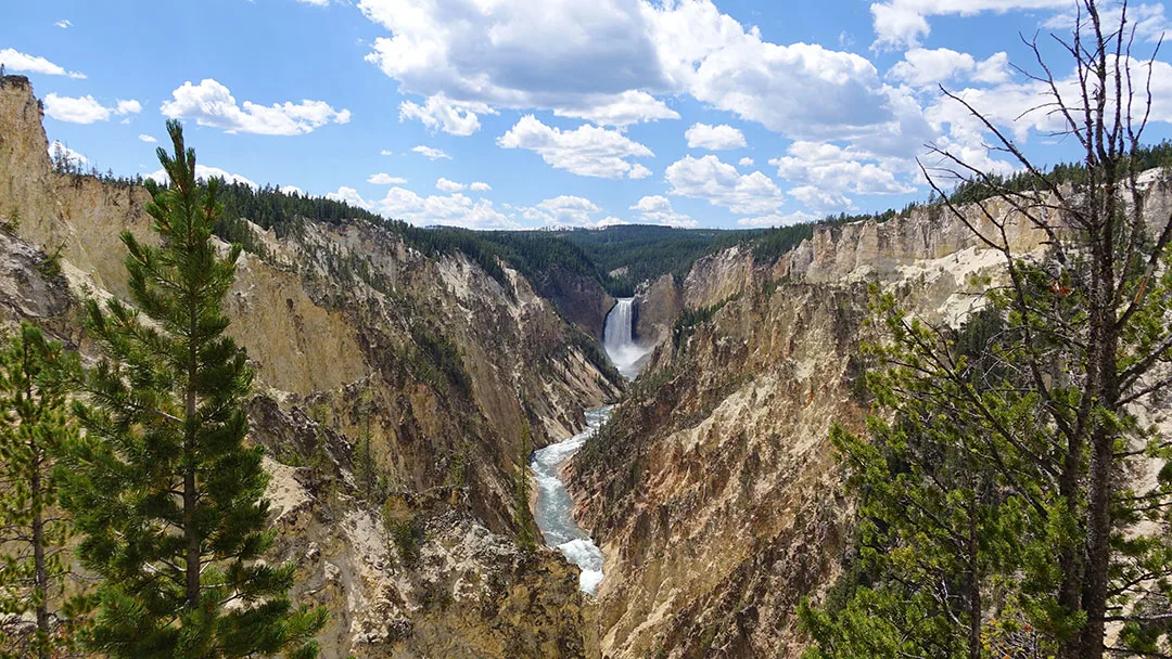 Yellowstone Day 5 Grand Canyon of the Yellowstone Artist Point
