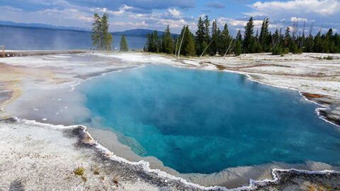 Our Yellowstone Adventure – Day 6 River Swimming, West Thumb and a case of the yuckies