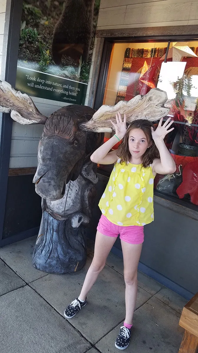 Yellowstone Trip Day 1j