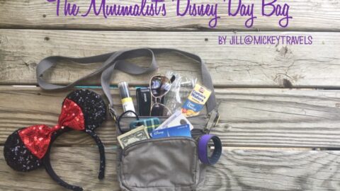 How to Pack your Disney Day Bag Like a Minimalist