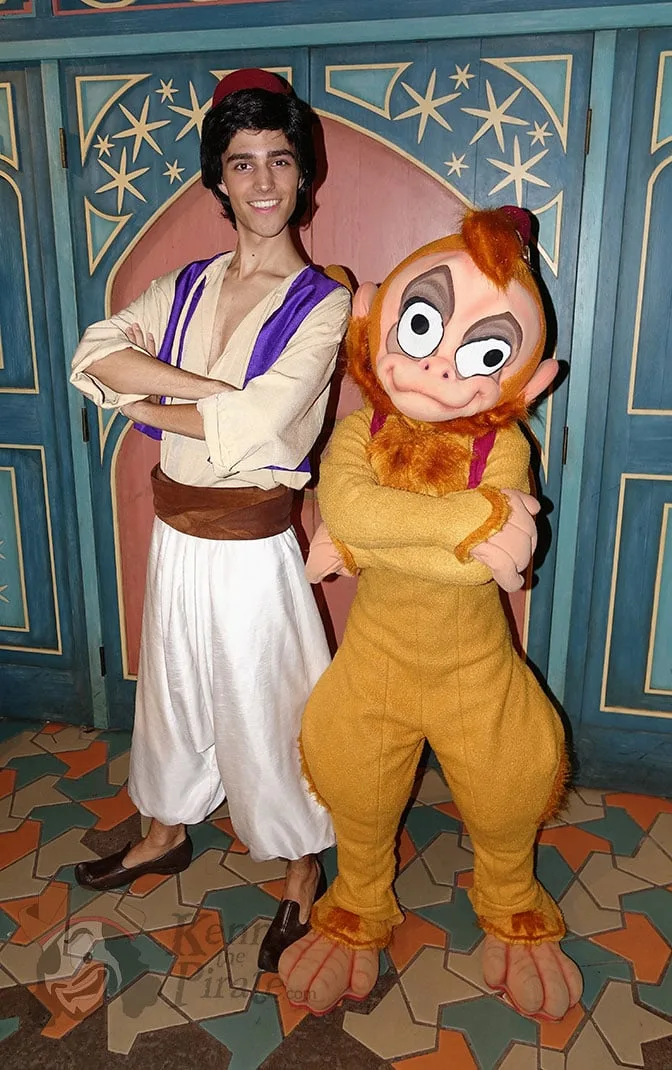 aladdin-and-abu-at-mickeys-not-so-scary-halloween-party-2016