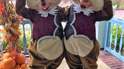 Chip n Dale appear in a Halloween costume at Old Key West Resort