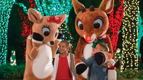 CHRISTMAS TOWN™ to Return to BUSCH GARDENS® TAMPA BAY