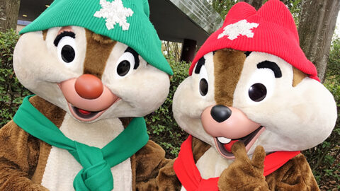 Chip n Dale are meeting in new costumes for Christmas at Hollywood Studios