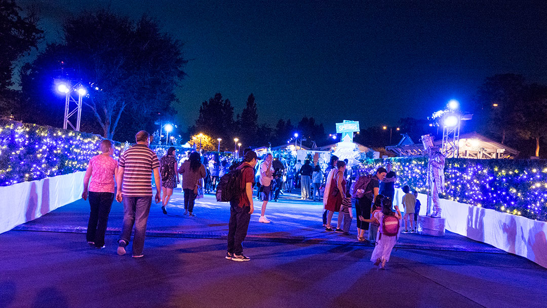 Disney Springs Christmas Tree Trail 2016