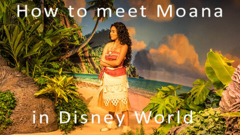 How to meet Moana in Walt Disney World’s Hollywood Studios
