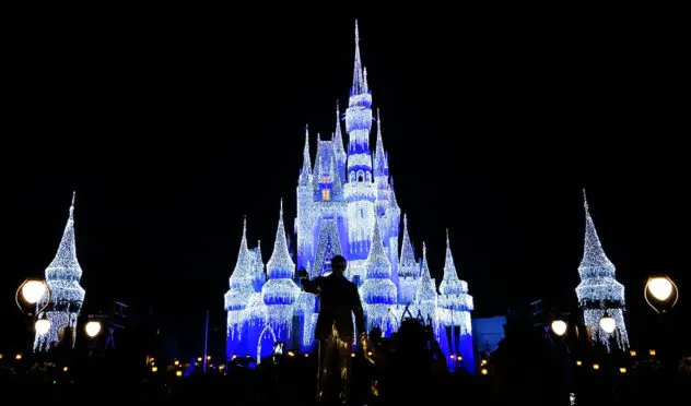 magic-kingdom-christmas-2016-8