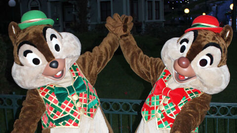 Worldwide Wednesday: Chip n Dale Christmas costumes Disneyland Paris