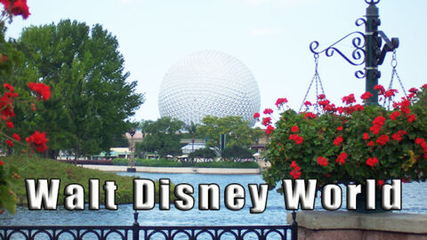 Walt Disney World