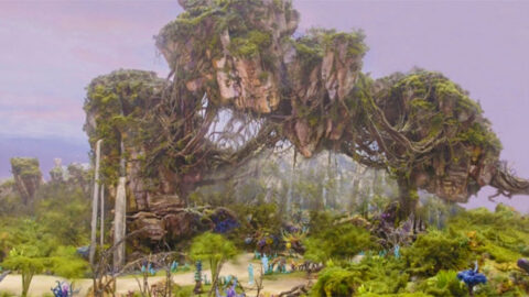 More evidence pointing to potential Pandora: The World of Avatar grand opening date