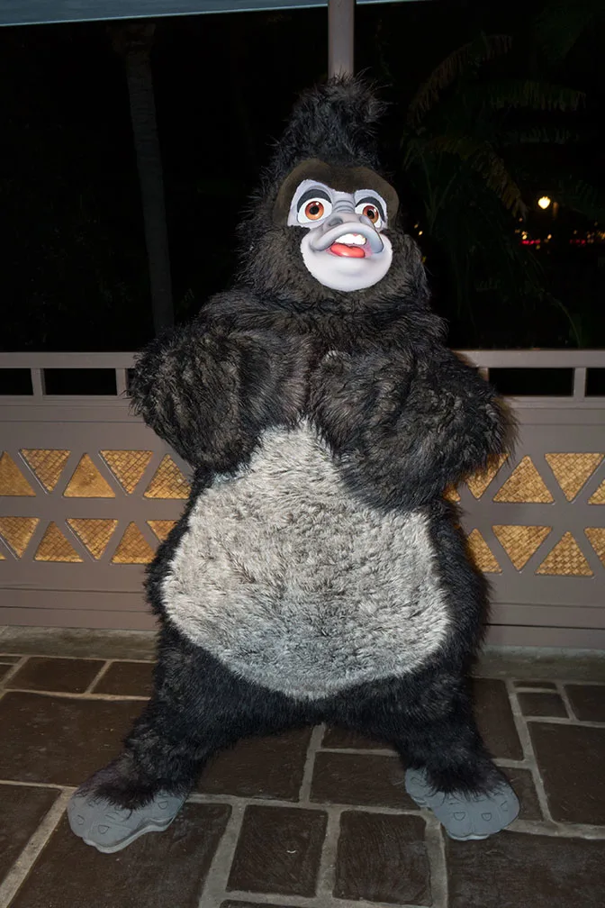 Disney Vacation Club Moonlight Madness 2017 Terk