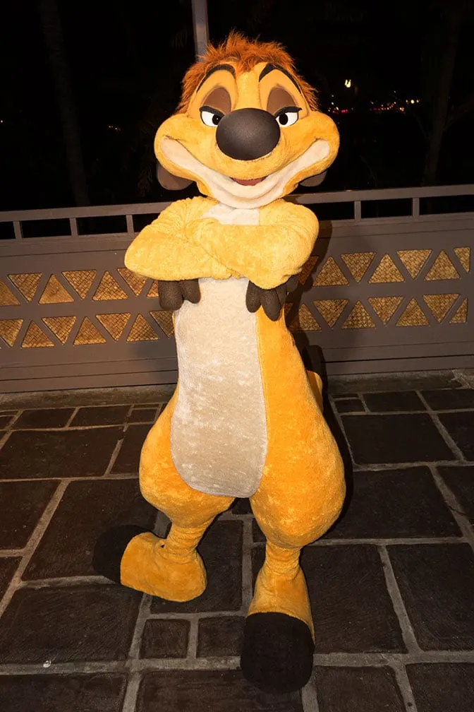 Disney Vacation Club Moonlight Madness 2017 Timon