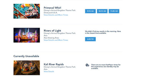 Rivers of Light Fastpass+ now available