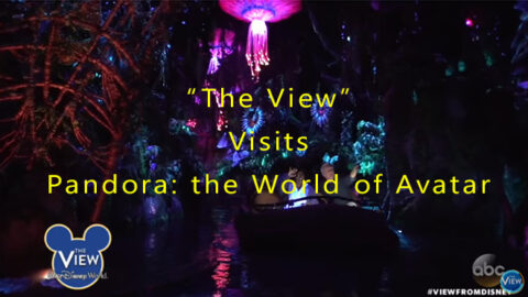 Look Inside Pandora the World of Avatar at Disney’s Animal Kingdom