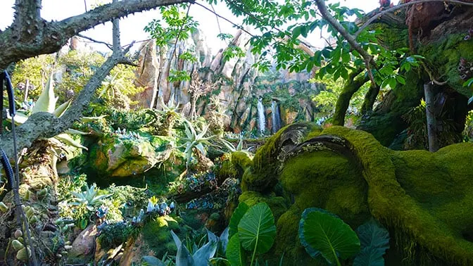 Avatar Flight of Passage in Pandora at Disney's Animal Kingdom (6)