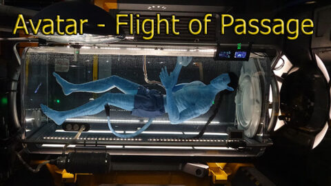 Avatar Flight of Passage in Pandora at Disney’s Animal Kingdom