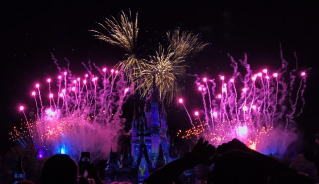 Happily Ever After Fireworks Show at the Magic Kingdom