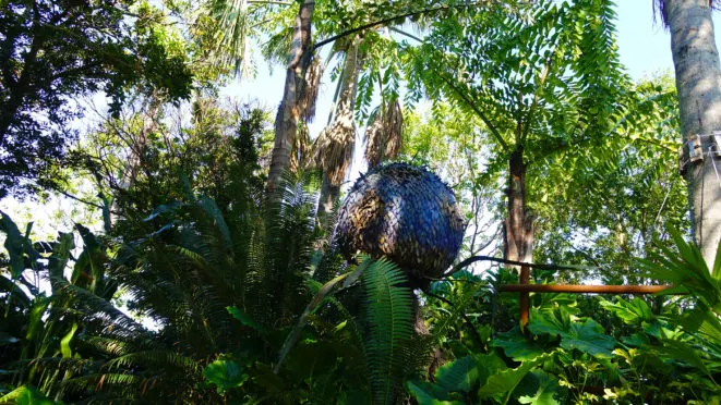Na'Vi River Journey in Pandora the World of Avatar at Disney's Animal Kingdom