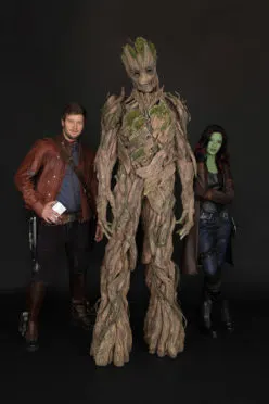 FIRST LOOK AT ADULT GROOT MEET AT DISNEYLAND CALIFORNIA ADVENTURE SUMMER 2017