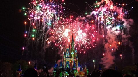 Happily Ever After Fireworks Show at the Magic Kingdom