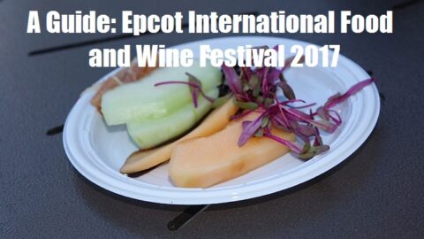 A Guide: Epcot International Food and Wine Festival 2017