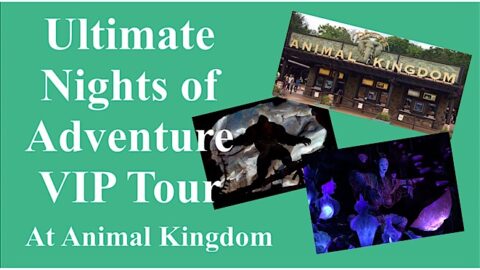 Ultimate Nights of Adventure VIP Tour at Animal Kingdom