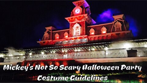 Mickey’s Not So Scary Halloween Party Costume Guidelines