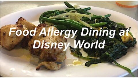 Food Allergy Dining at Disney World