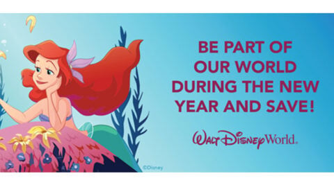 Save up to 25% on your next Walt Disney World vacation!