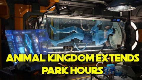 Disney’s Animal Kingdom extends park hours for Late February through Early April