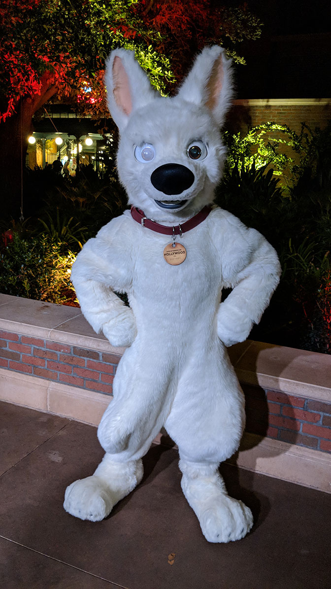 DVC Moonlight Madness at Hollywood Studios Bolt