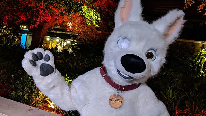 DVC Moonlight Madness at Hollywood Studios Bolt