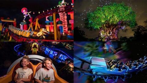 Hollywood Studios and Animal Kingdom to receive Disney After Hours events