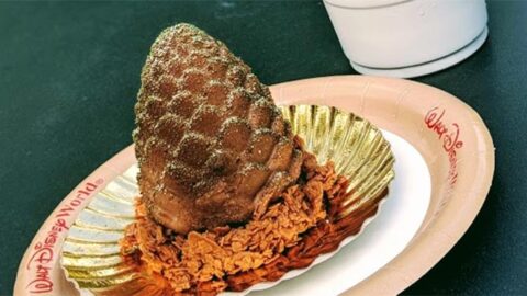 REVIEW: Chocolate Chestnut Pinecone and Frozen Hot Cocoa at Disney’s Hollywood Studios