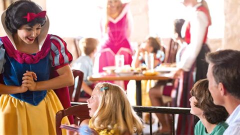 Receive one free meal per day with this Summer 2019 Walt Disney World Offer