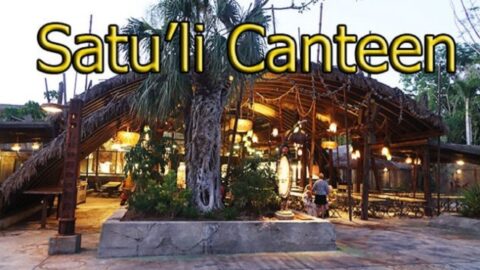 Dining Review: Satu’li Canteen in Animal Kingdom